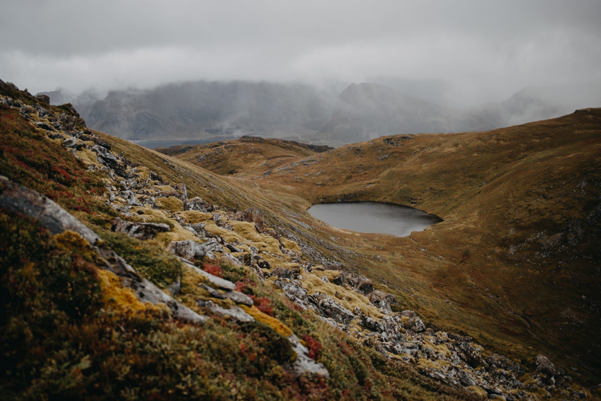 Adrien & Lucille wedding story in Lofoten Islands — photograph 4