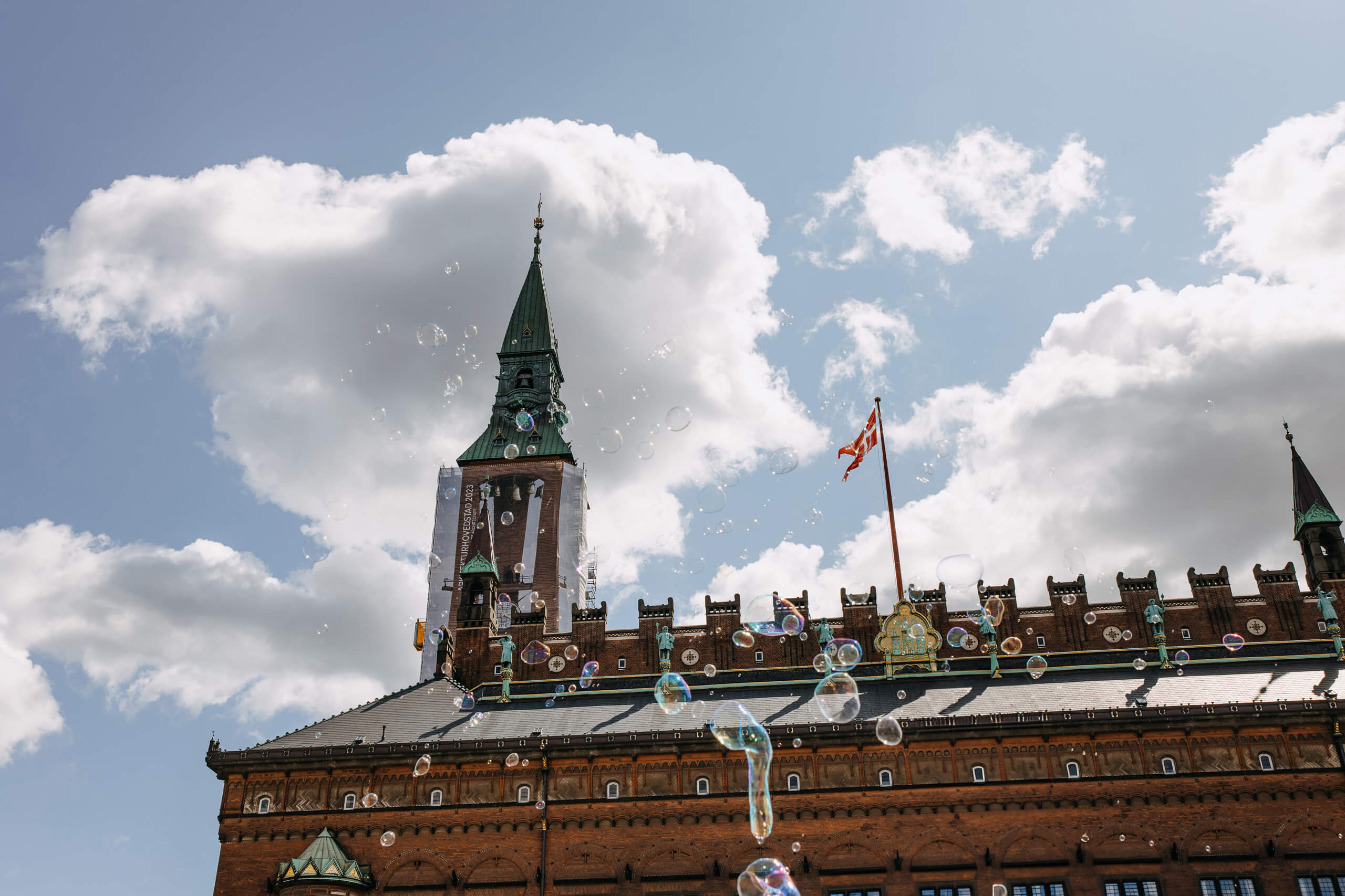 Louis & Shamim wedding story in Copenhagen City Hall — photograph 1