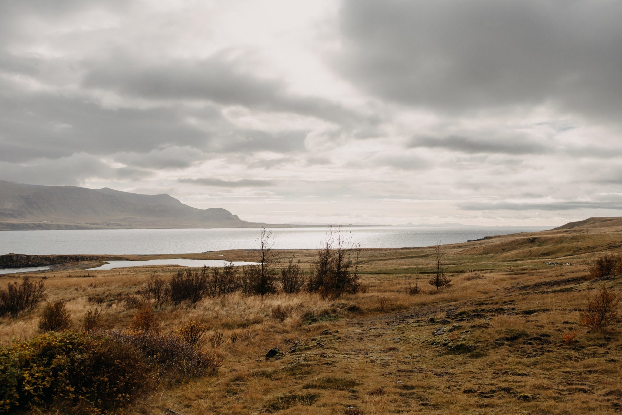 Nico & Desiree wedding story in West Iceland — photograph 2
